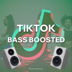 TIKTOK 🔥 Bass Boosted 🔊 PHONK & BASS cover