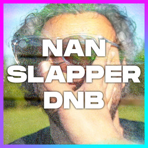 NAN SLAPPER DNB  playlist cover