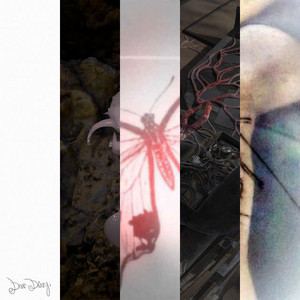 The Sound of Epic Collage