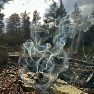 🪶 Shamanic Energy Healing 🪶