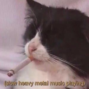 i don't know what this means Spotify playlist cover art
