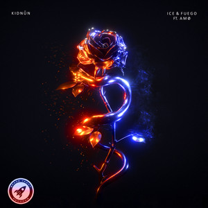 EDM POP BANGERS  🎧 playlist cover