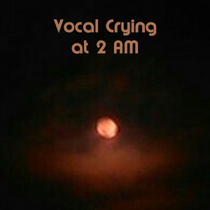 VOCAL CRYING AT 2 AM