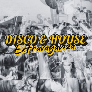 Disco & House Extravaganza playlist cover