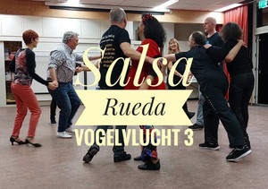 Salsa Rueda Vogelvlucht 3 cover