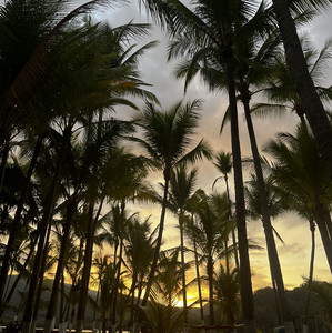 Ale Playlist By Alead29 Spotify