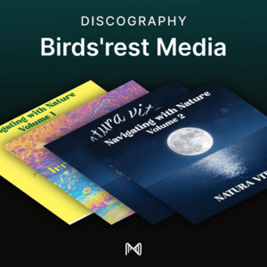spotify image