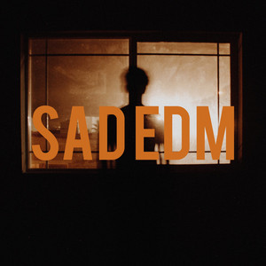 Sad EDM 👣 playlist cover