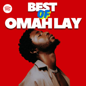 BEST OF OMAH LAY 2026 (AFROBEATS)🏝🔥💥 playlist cover