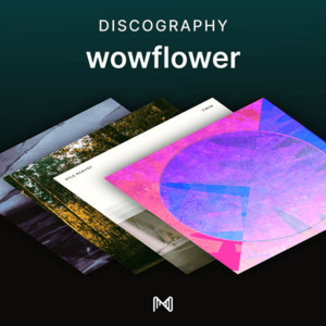 spotify image