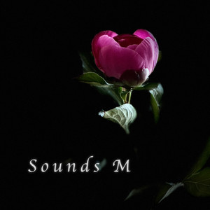 Imagem de The Hush Sound