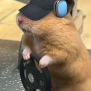 Imagem de NAV