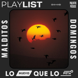 MALDITOS DOMINGOS