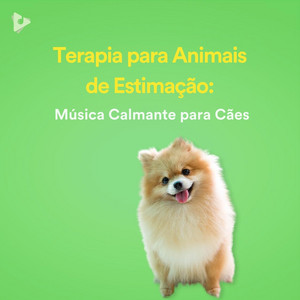 Terapia para Animais de Estimação: Música Calmante para Cães