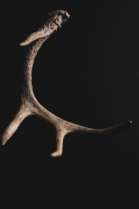 a grishaverse playlist to blast in the fold cover