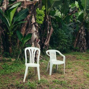 Baby Te Voy A Dar Una Vuelta Por La Playita (WELTiTA) - Bad Bunny playlist cover
