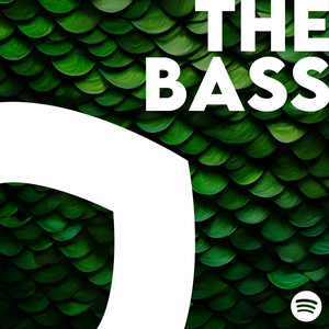 THE BASS / house, tech, electronic dance, future, basement playlist cover