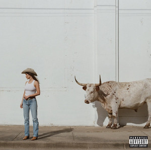Imagem de Kacey Musgraves