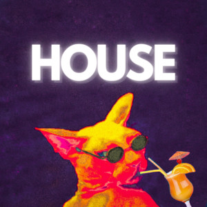 HOUSE BANGERS 2026 🍹 playlist cover