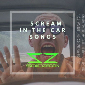 Scream In The Car Songs playlist cover
