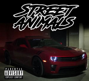 Street Animals