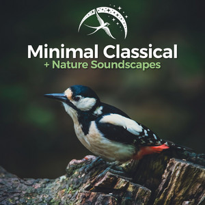 Minimal Classical + Nature Soundscapes playlist cover
