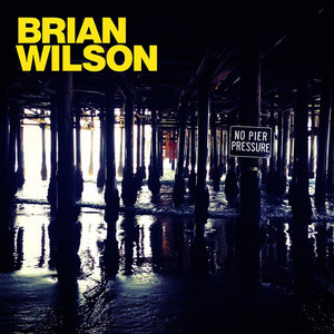 Brian Wilson: 永遠の天才 ブライアン・ウィルソン: 光と闇の全軌跡