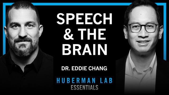Huberman Lab
