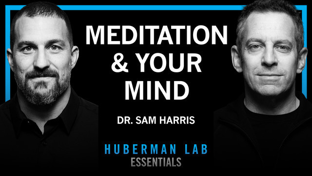 andrew huberman l carnitine Stanford's Dr. Reveals His Supplement Protocol for Optimizing Health and Performance Carnitine | Ask Dexa