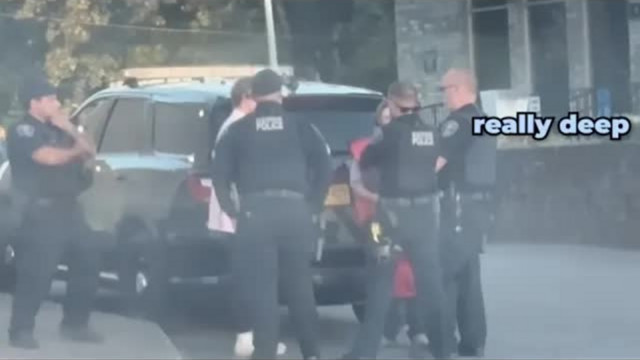 The $200,000 Lego Cartel: How Bricks & Minifigs Allegedly Weaponized the Police Over Plastic Bricks