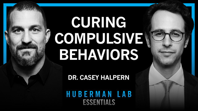 acetyl-l-carnitine huberman Amazon.com: Momentous Acetyl L-Carnitine - Brain Function & Cognitive  Support Supplement - Boosts Mental Clarity & Energy Production - NSF  Certified for Sport - 500 mg main image 0