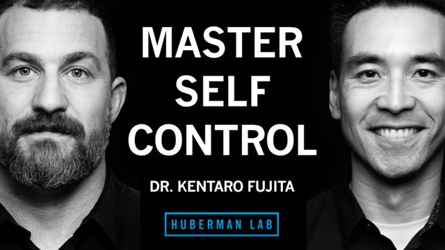 acetyl l carnitine huberman lab Huberman Lab