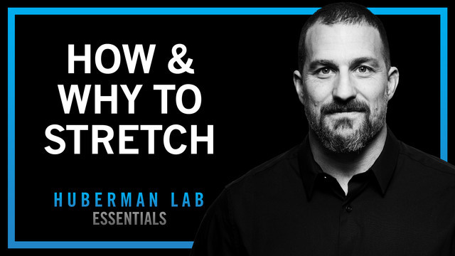 layne norton bpc 157 Huberman Lab