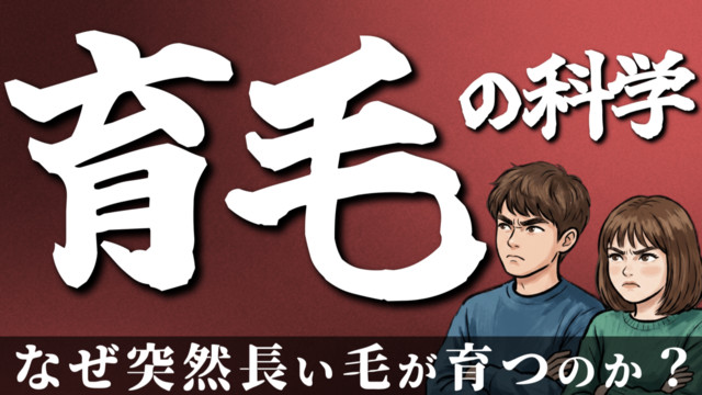 花村想太 NOsWEA フード付きパーカー NOśWEA 花村想太 kurohoodie_logo