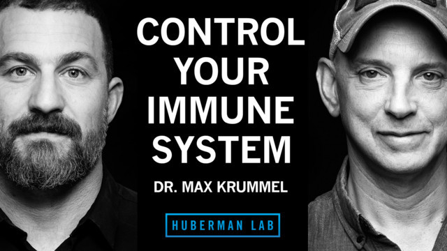 Huberman Lab