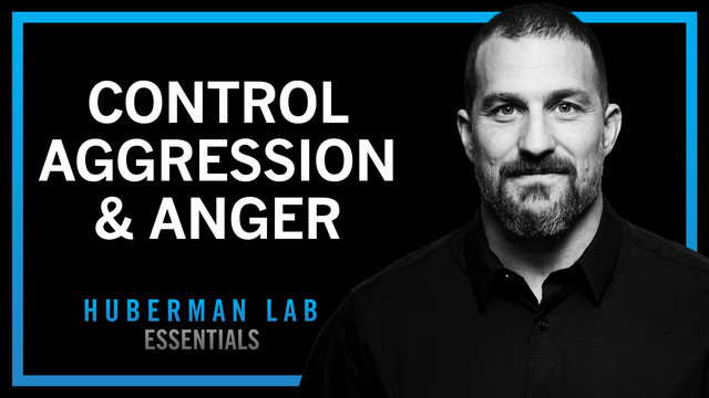 huberman l carnitine Essentials: Understanding & Controlling Aggression - Huberman Lab