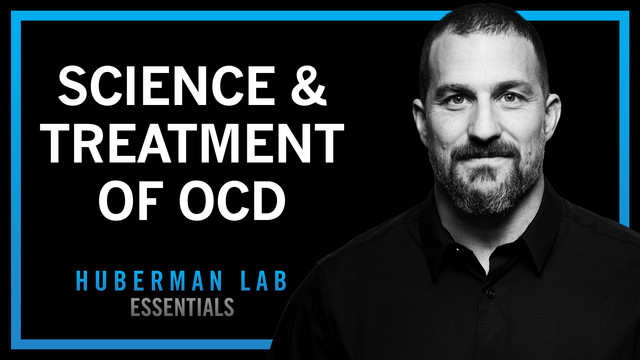 l carnitine huberman Momentous Stack Acetyl-Carnitine - 60 Servings Stanford's Dr. Andrew Huberman Reveals