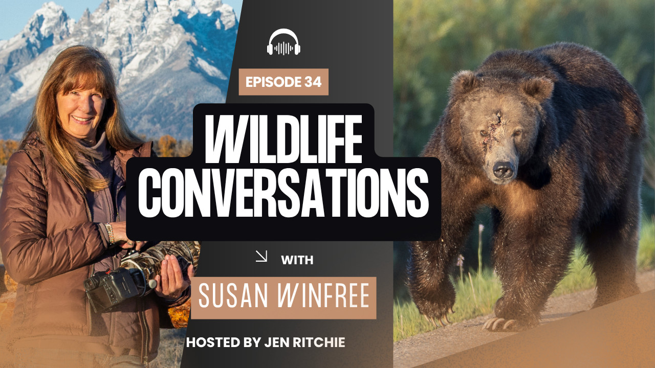 Episode 34: Wildlife Conversations with Susan Winfree - Wildlife ...
