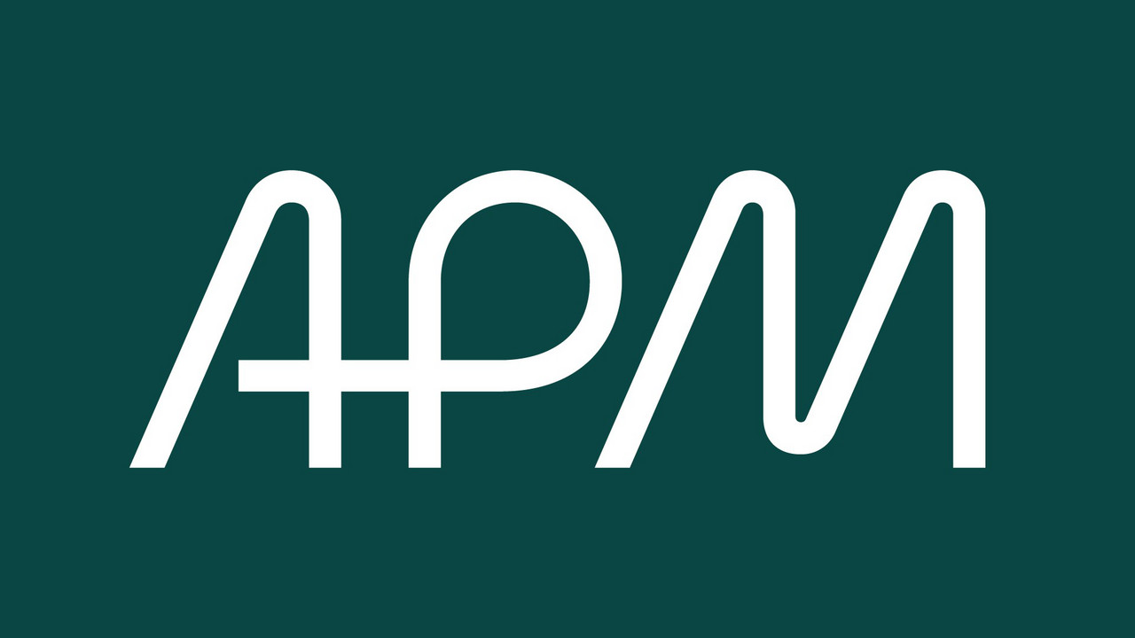 APM Risk IN: The Riskateers, The strategic edge: Inside APM leadership ...
