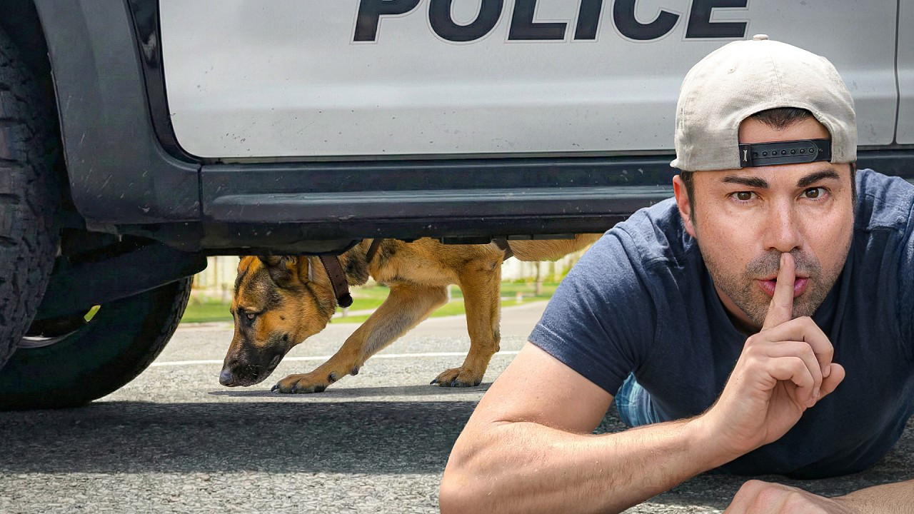 How to Escape a Police Sniffing Dog - Mark Rober | Podcast on Spotify