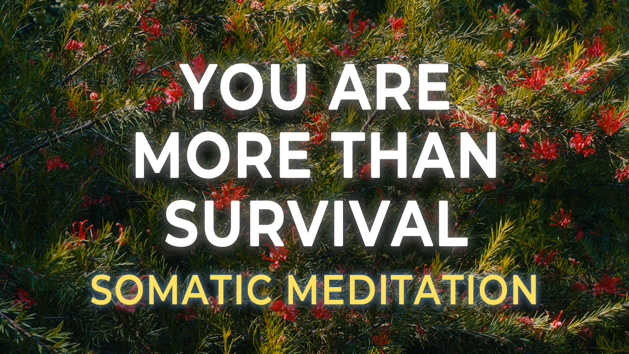 Coming Home to Yourself | A Somatic Healing Meditation for Women ...