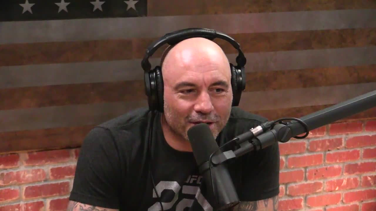 ben greenfield joe rogan bpc 157 1069 - - The Experience After a major spinal injury,