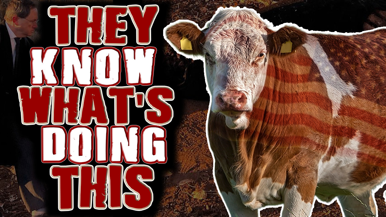 50 Years. No Answers. The Cattle MUTILATION Mystery The Government Won ...