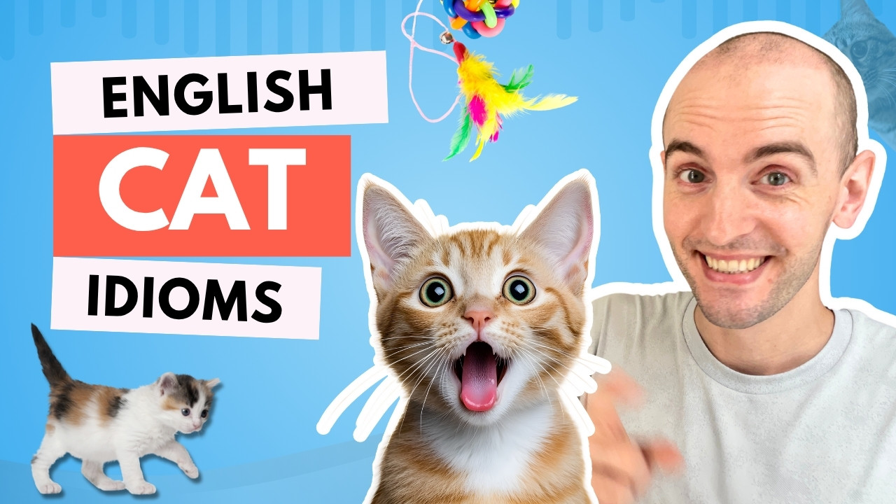 #352 What Can We Learn from Cats? - The Level Up English Podcast ...